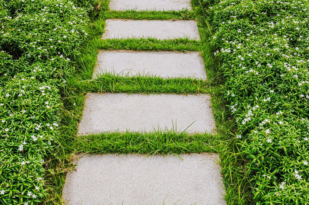 Paving steps