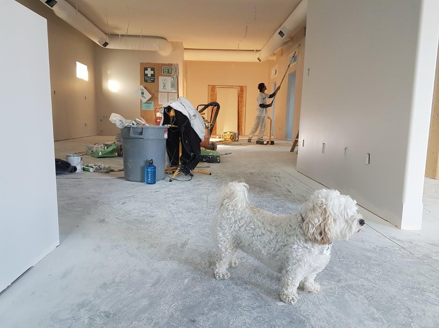 How Students Can Optimize Processes in Construction